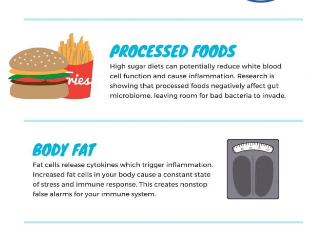 6 Things That Affect Your Immune System Performance [Infographic]